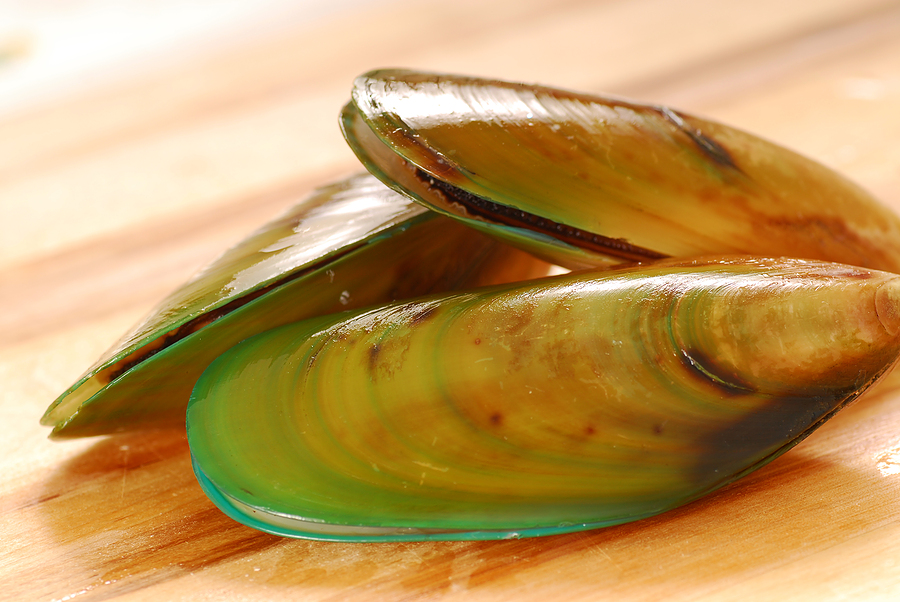 glucosamine chondroitin and green lipped mussel
